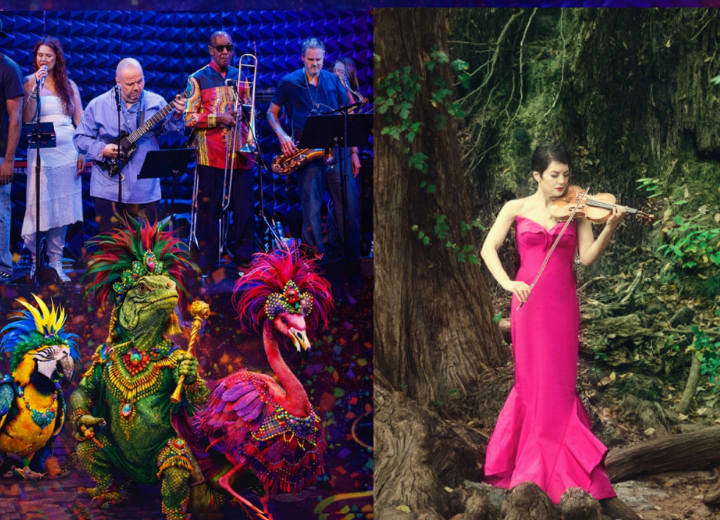 Anne Akiko Meyers with Gene Pritsker’s Sound Liberation: Animals Carnaval